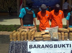 BNN Cianjur Gagalkan Peredaran Ganja Dalam Kemasan Ikan Teri