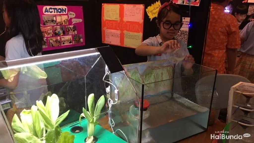 Intip Karya Keren Anak SD Berbasis Sains di PYP Exhibition Intip Karya Keren Anak SD Berbasis Sains di PYP Exhibition