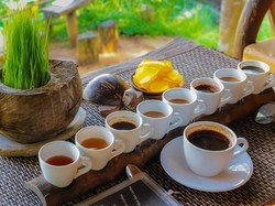 Kopi Indonesia Kian Populer, Petani Kopi Sudah Makmur?