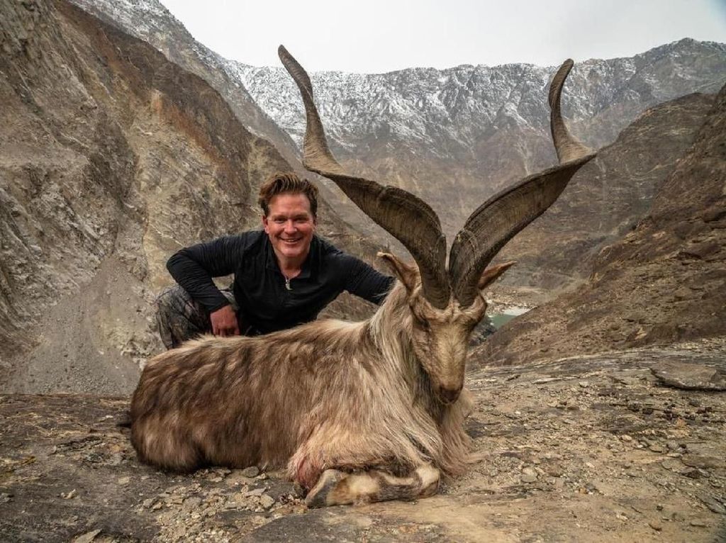 Pemburu Ini Rela Bayar Rp 1,5 Miliar Untuk Bunuh Kambing Gunung Langka Pemburu Ini Rela Bayar Rp 1,5 Miliar Untuk Bunuh Kambing Gunung Langka