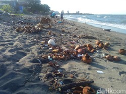 Miris, Pantai di Lhokseumawe Penuh Sampah Hingga Limbah Kelapa Muda