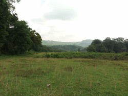 Lahan HGU Digunakan untuk Apa?