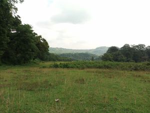 Lahan HGU Digunakan untuk Apa? Lahan HGU Digunakan untuk Apa?