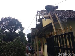 Hujan Disertai Angin Kencang Picu Pohon Tumbang dan Atap Beterbangan