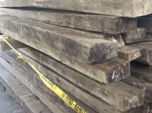 KLHK Sita 11 Kontainer Kayu Ilegal Senilai Rp 3,5 M di NTB