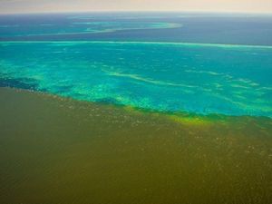 Air Keruh dari Banjir di Australia Menyelimuti Great Barrier Reef