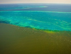 Air Keruh dari Banjir di Australia Menyelimuti Great Barrier Reef