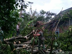 Puting Beliung di Blitar, Puluhan Pohon Tumbang Timpa Rumah Warga