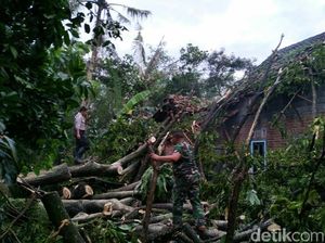 Puting Beliung di Blitar, Puluhan Pohon Tumbang Timpa Rumah Warga Puting Beliung di Blitar, Puluhan Pohon Tumbang Timpa Rumah Warga