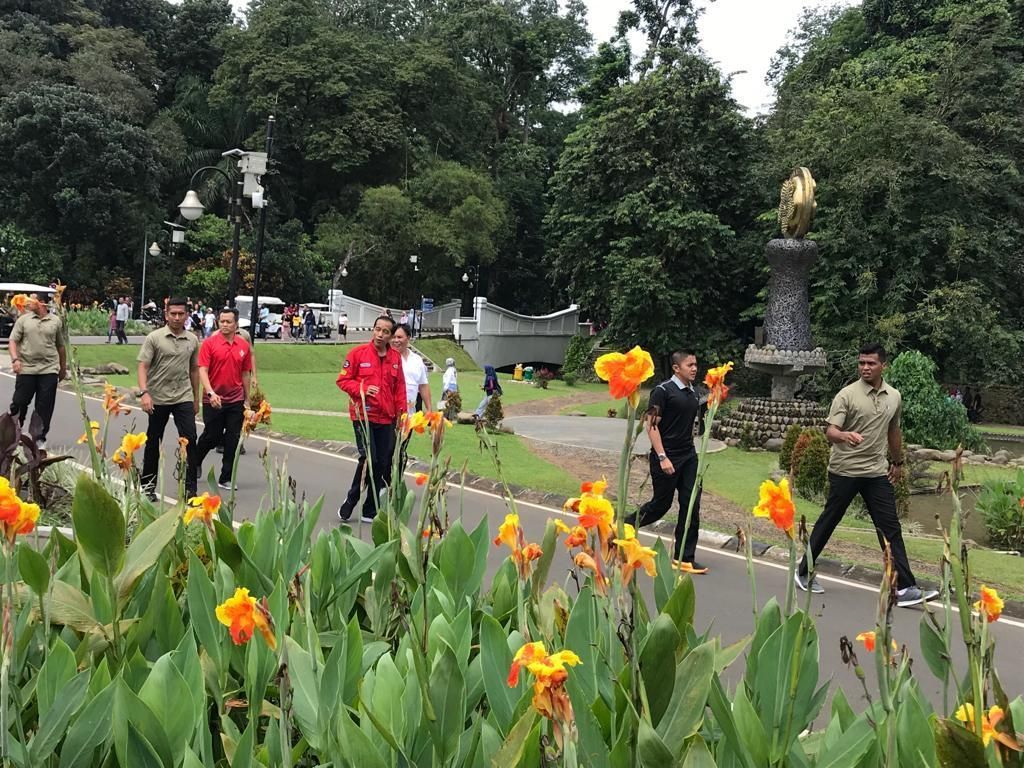 Jelang Debat dengan Prabowo, Jokowi Lari Pagi di Kebun Raya Bogor Jelang Debat dengan Prabowo, Jokowi Lari Pagi di Kebun Raya Bogor