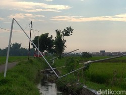 Puluhan Tiang Listrik Tumbang Dampak Hujan Disertai Angin Kencang