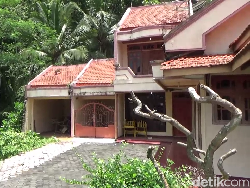 Kera Liar Turun ke Permukiman Warga Lumajang, Diduga Kelaparan