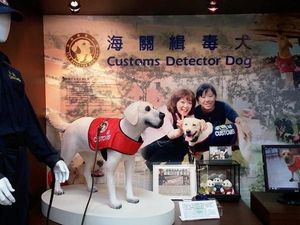 Berwisata Sambil Belajar di Museum Bea Cukai Taiwan