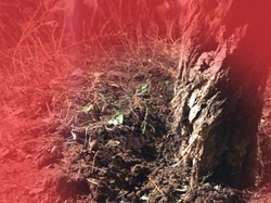 Ledakan Pabrik Kimia di Cilegon Bikin Resah Warga, Polisi Selidiki