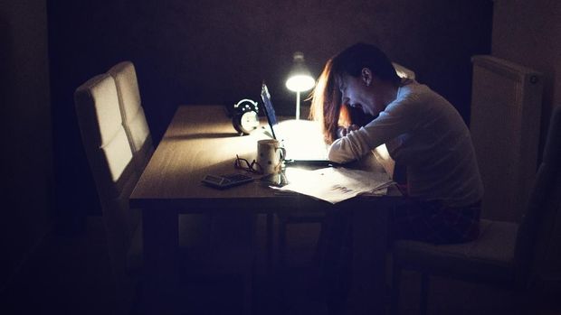 KLHK Sikat Oknum Penyelundup Opsetan Satwa Dilindungi