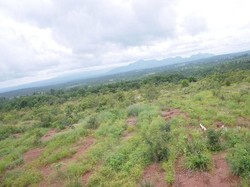 Menilik Bekas Tambang yang Jadi Hutan Kota Menurut Jokowi