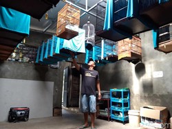 Mengintip Sekolah Burung di Boyolali