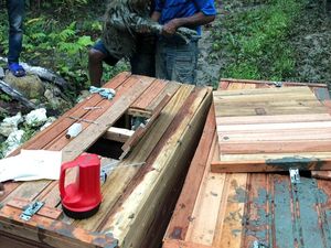 8 Ekor Kasuari Dilepasliarkan ke Papua