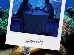 Ajak Pasangan Dinner Ditemani 600 Biota Laut di Hari Valentine