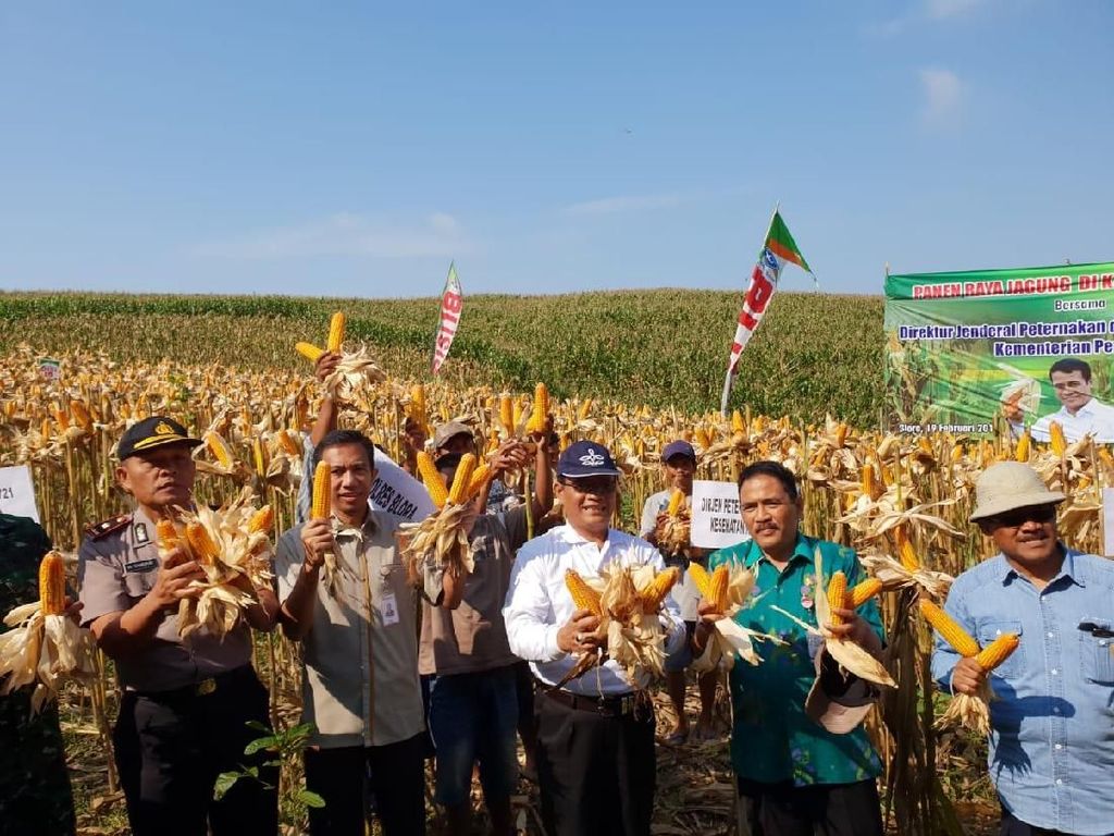 Keluar dari Jebakan Kebijakan Pangan Dunia Keluar dari Jebakan Kebijakan Pangan Dunia