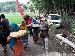 Warga Bantul Gelar Wiwitan, Tanda Syukur Saat Panen Raya Warga Bantul Gelar Wiwitan, Tanda Syukur Saat Panen Raya
