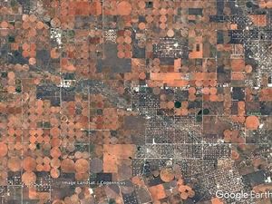 Google Earth, Ini 4 Langkah Mudah Menggunakannya