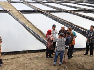 Pemkab Serang Siapkan 22 Hektare Lahan untuk Budidaya Garam