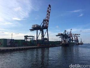 Pemerintah Bakal Gandeng Swasta Bangun 7 Pelabuhan Hub