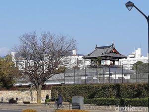 Mengapa Orang Jepang Begitu Disiplin?