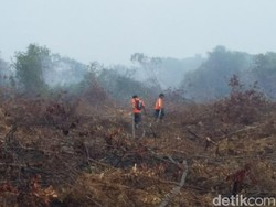 BNPB: 843 Ha Lahan di Riau Terbakar Selama 1 Januari-18 Februari 2019