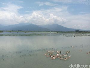 Potret Jalan Lingkar Paling Keren di Semarang
