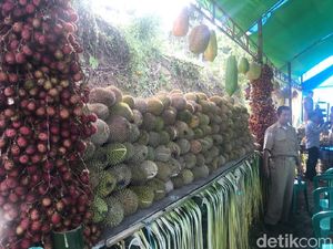 7 Durian Khas Polewali Mandar Ditampilkan Dalam Tradisi Mappaende