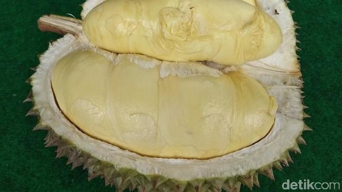 Durian kerap disebut tinggi kolesterol, padahal tidak. Foto: Eko Susanto/detikcom