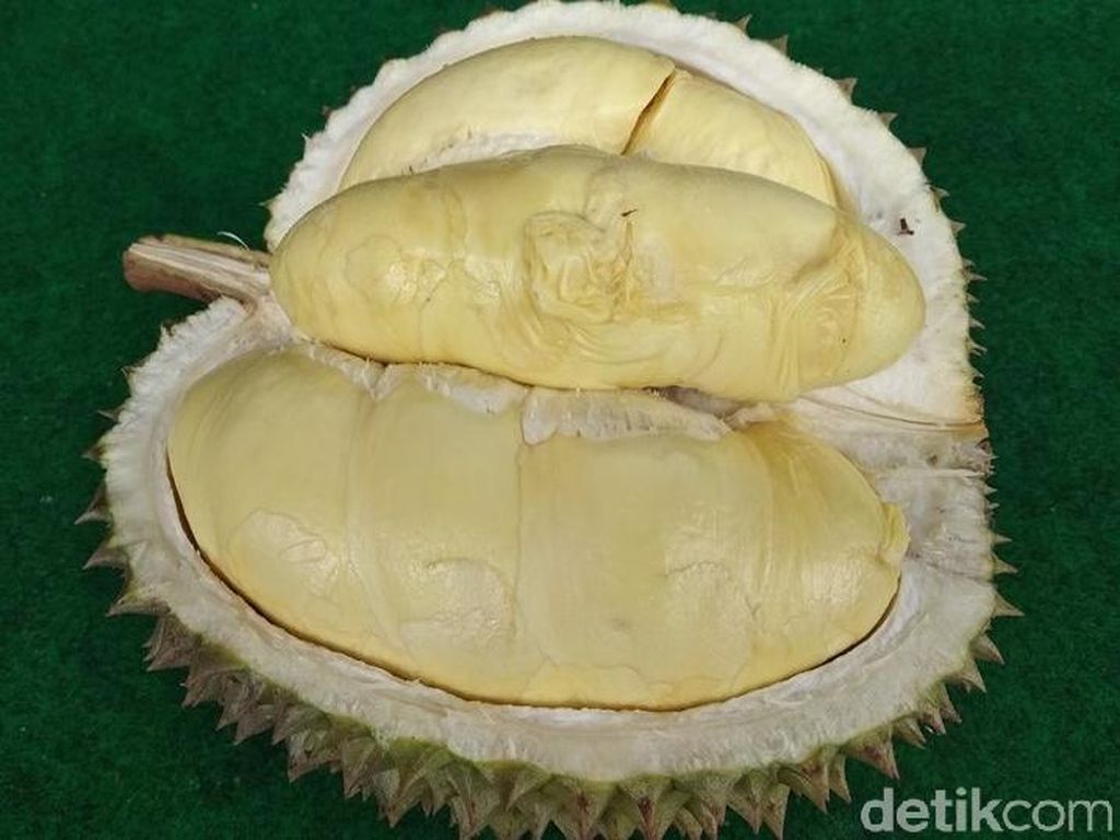 Legit Pahit Durian Deprok Khas Salaman Magelang yang Berdaging Tebal