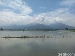Danau Rawapening, Mau Gitu-gitu Aja? Danau Rawapening, Mau Gitu-gitu Aja?