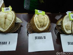 Raja Durian Baru Hingga Penjual Makanan Pakai Kostum Unik Raja Durian Baru Hingga Penjual Makanan Pakai Kostum Unik