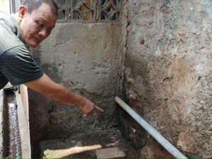 Ulat Gonggok Serang Rumah di Ragunan, Warga: Tidur Tak Tenang Ulat Gonggok Serang Rumah di Ragunan, Warga: Tidur Tak Tenang