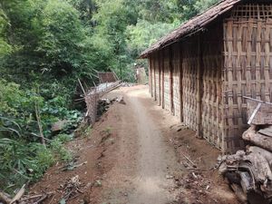 Bayi Ibu Hamil yang Ditandu Meninggal: Bupati: Bukan karena Jalan