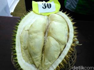 Ini Dia Gajah Mada, Durian Terbaik dari Purworejo Ini Dia Gajah Mada, Durian Terbaik dari Purworejo