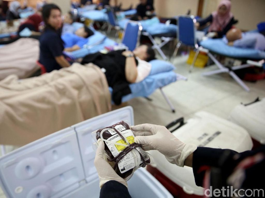 Tentang Donor Darah: 8 Syarat, Larangan, Cara, dan Manfaatnya Tentang Donor Darah: 8 Syarat, Larangan, Cara, dan Manfaatnya