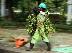 Kalender Jawa Selasa Pahing 20 Juni 2023: Hindari Memangkas Pohon