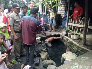 Terpeleset saat Hujan-hujanan, Balita Tewas Tenggelam di Selokan