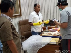 Hendak Jual Gading Gajah, Seorang Pria di Pati Dibekuk Polisi