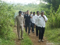 Heboh Ladang Ganja Purwakarta, Polisi Sisir Hutan di Karawang