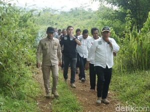 Heboh Ladang Ganja Purwakarta, Polisi Sisir Hutan di Karawang Heboh Ladang Ganja Purwakarta, Polisi Sisir Hutan di Karawang