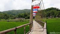 Foto: Sawah yang Instagrammable di Bantul