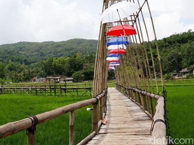 Foto: Sawah yang Instagrammable di Bantul