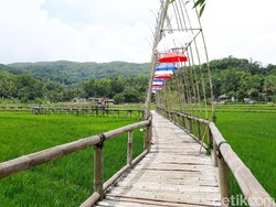 Liburan Akhir Pekan, Ada Sawah Kekinian di Bantul