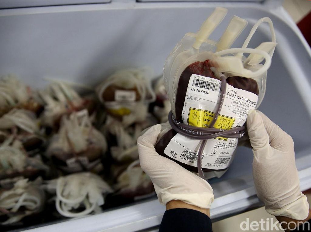 Stok Darah PMI Hanya Cukup untuk 2 Hari, Golongan Darah A dan AB Menipis