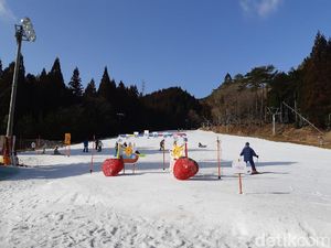 Yang Wajib Dilakukan di Negeri Sakura, Main Ski